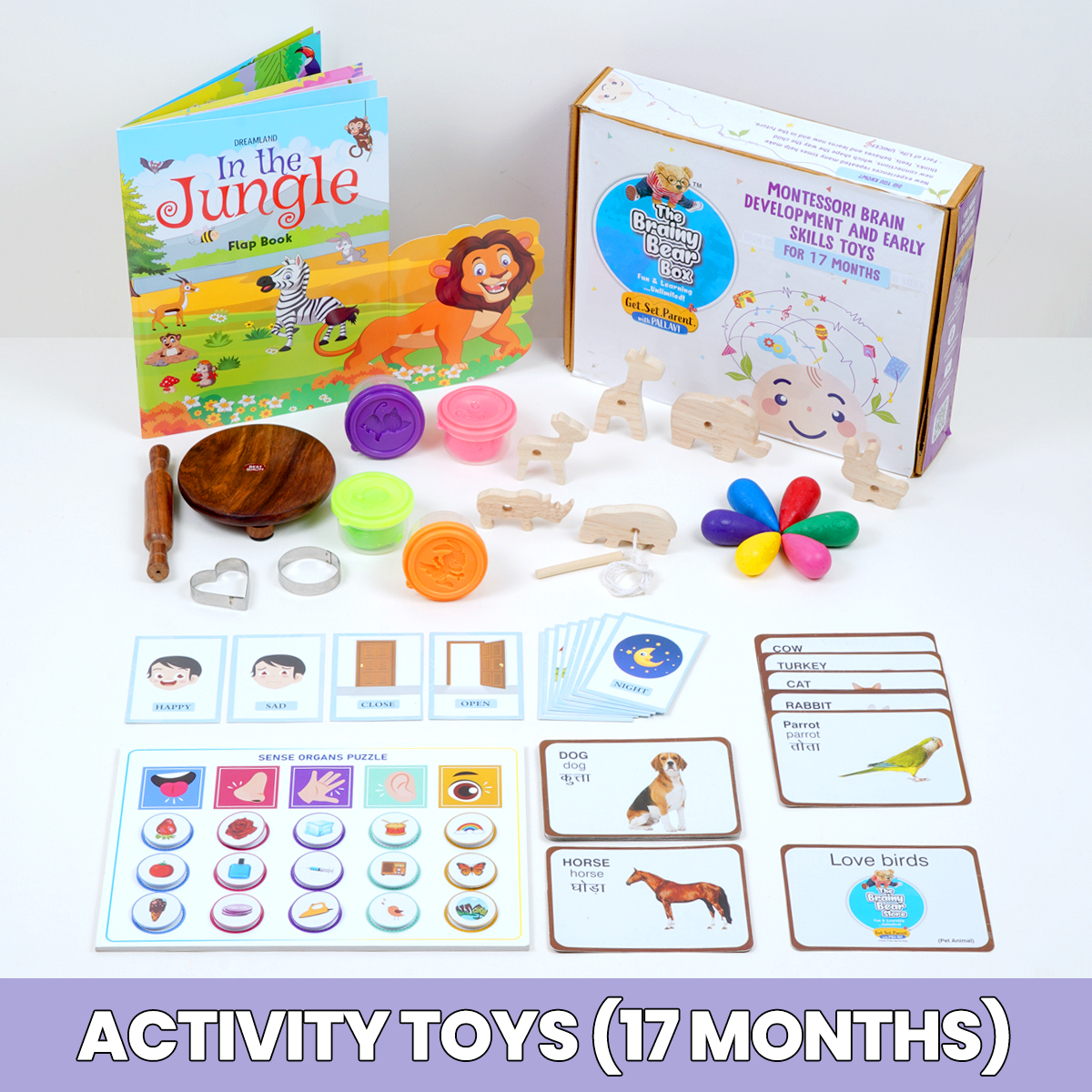 Monthly Montessori and Brain Development Toys  (0-2 Years)