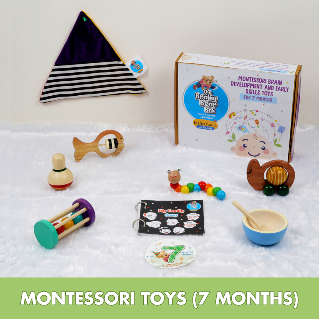 Montessori Activity Toys for 7 months
