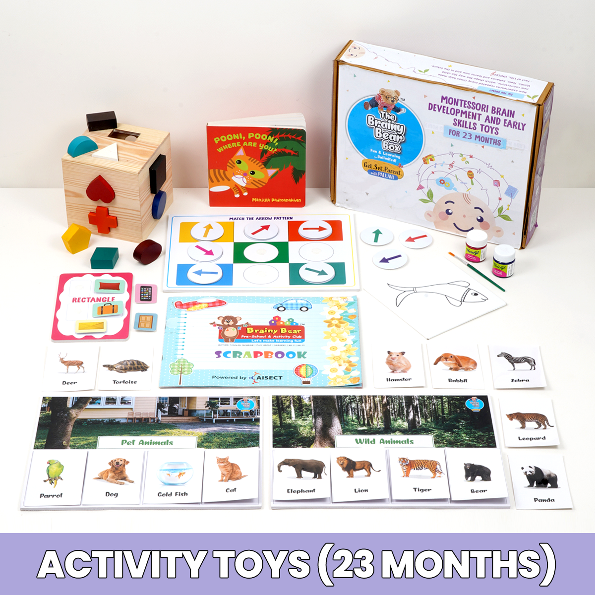 Monthly Montessori and Brain Development Toys  (0-2 Years)