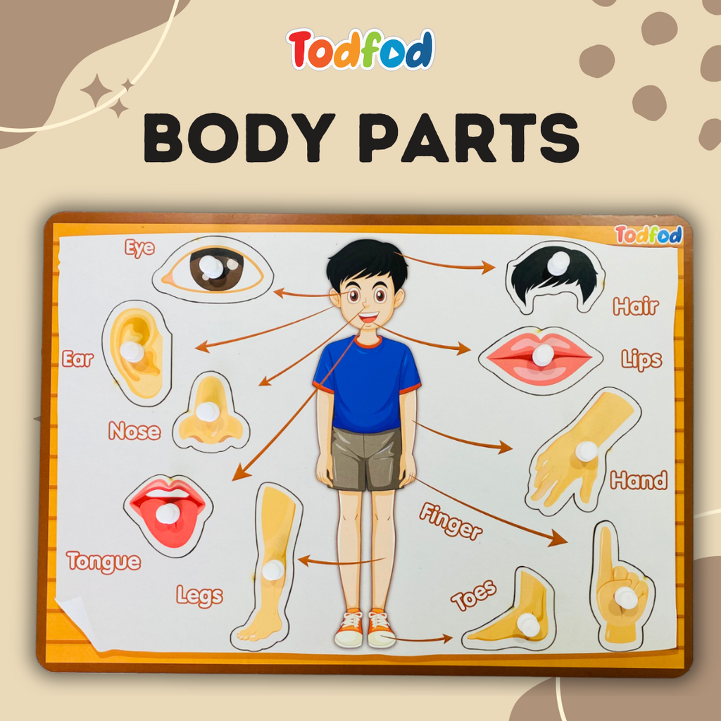 Body Parts & Shapes Characters Wooden Knob & Pegged Puzzle for Kids