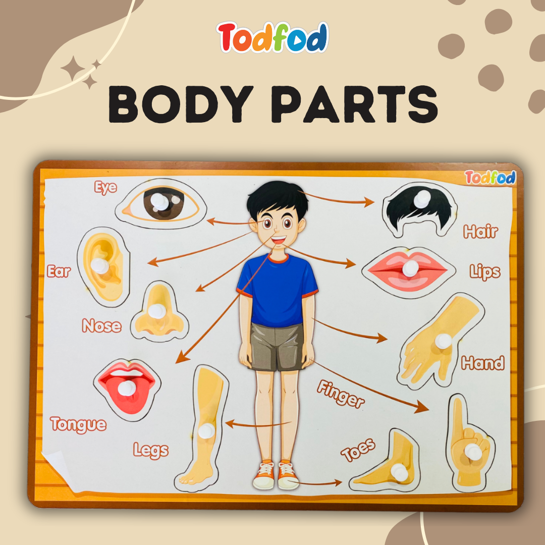 Body Parts, Vegetables, and Fruits Wooden Knob & Pegged Puzzle for Kids