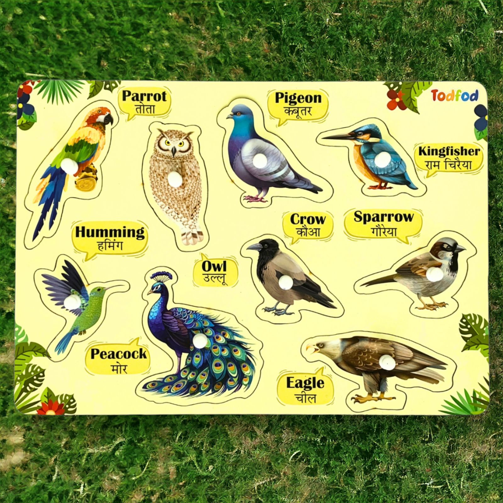 Gujarati Kakko Birds Characters Wooden Knob & Pegged Puzzle for Kids
