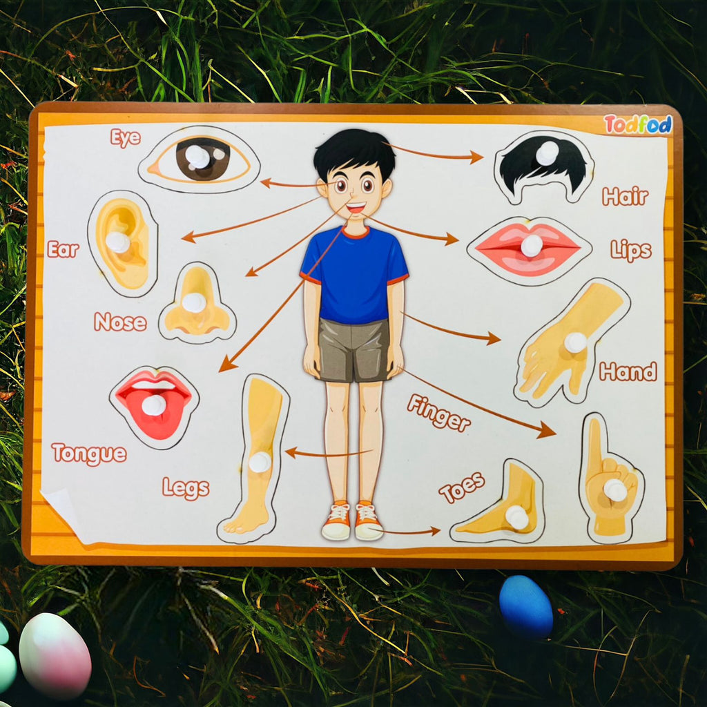 Wild Animal & Body Parts Characters Knob & Pegged Puzzle for Kids
