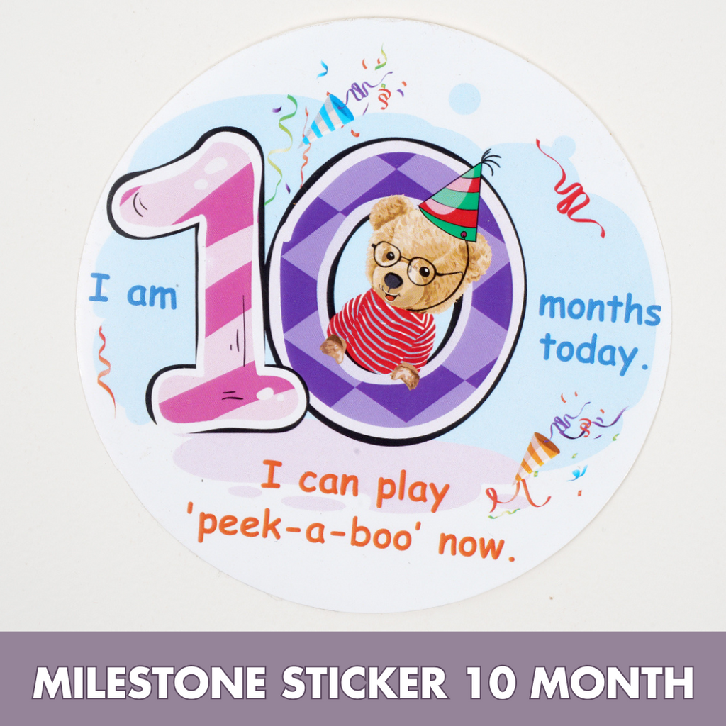 Montessori Activity Toys for 10 Months