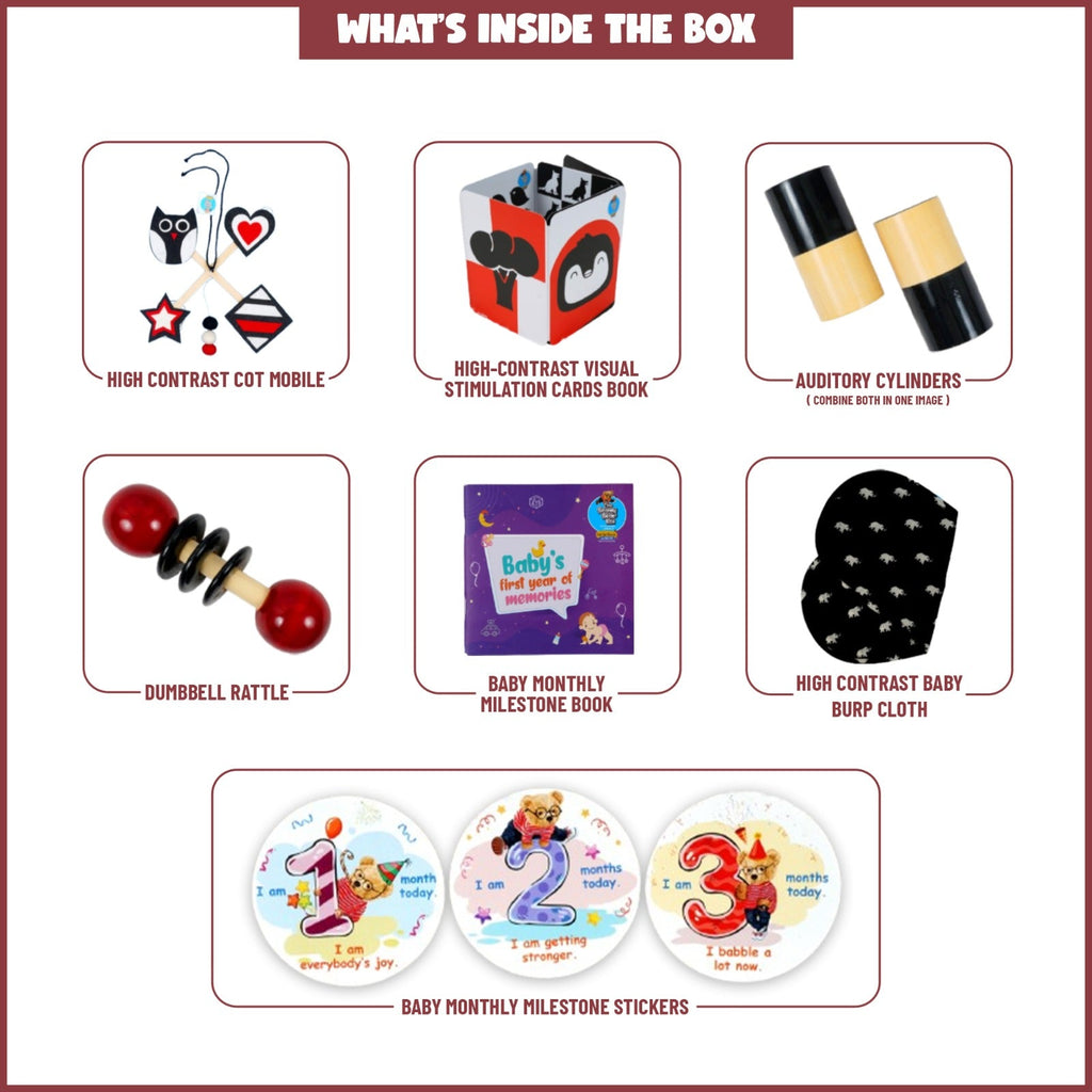 Montessori Activity Toys for 0-3 Months